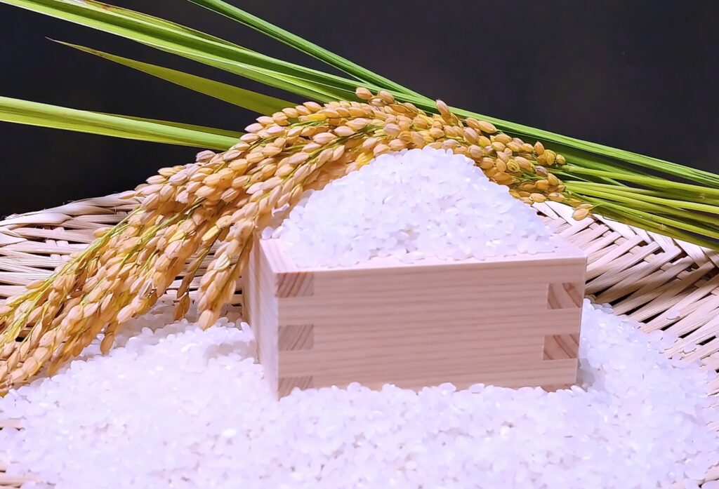 稲穂とお米