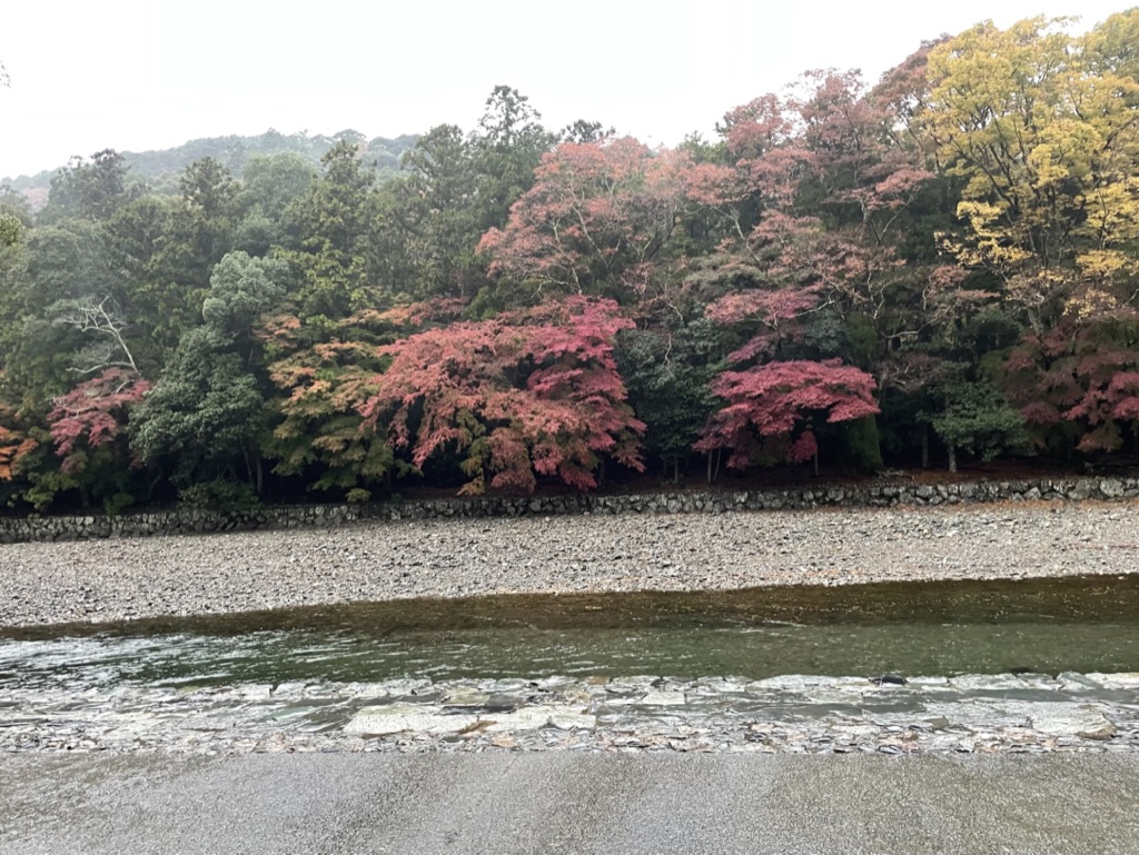 伊勢神宮　五十鈴川　紅葉