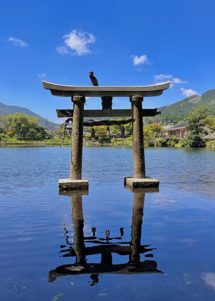 鳥と鳥居