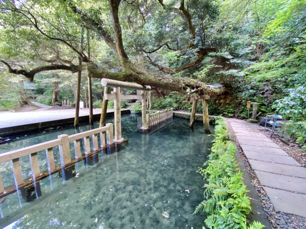 鹿島神宮の御手洗池