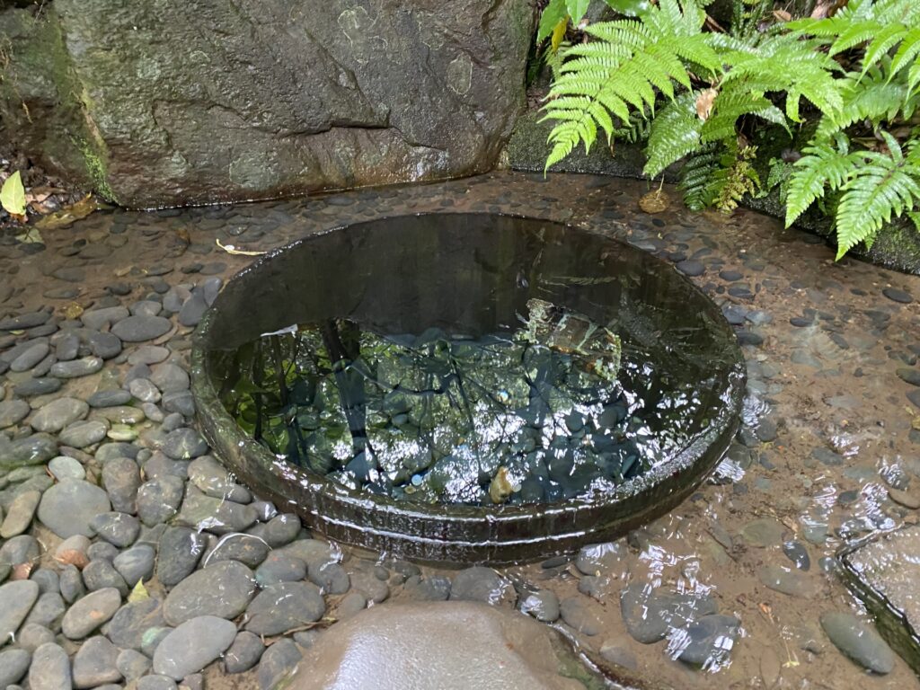 清正井