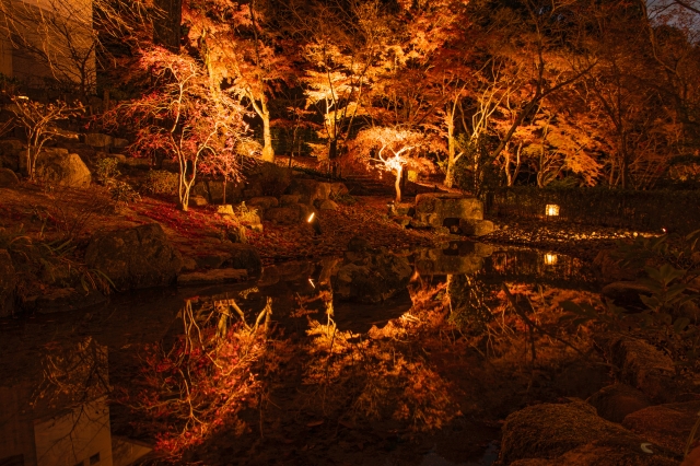 竈門神社のライトアップされた紅葉