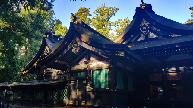 漆黒の本殿の壁に金の装飾が浮かぶ
