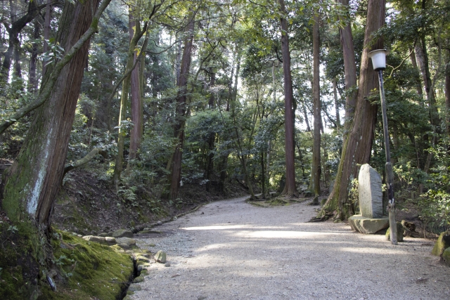 山の辺の道と遠くに望む三輪山