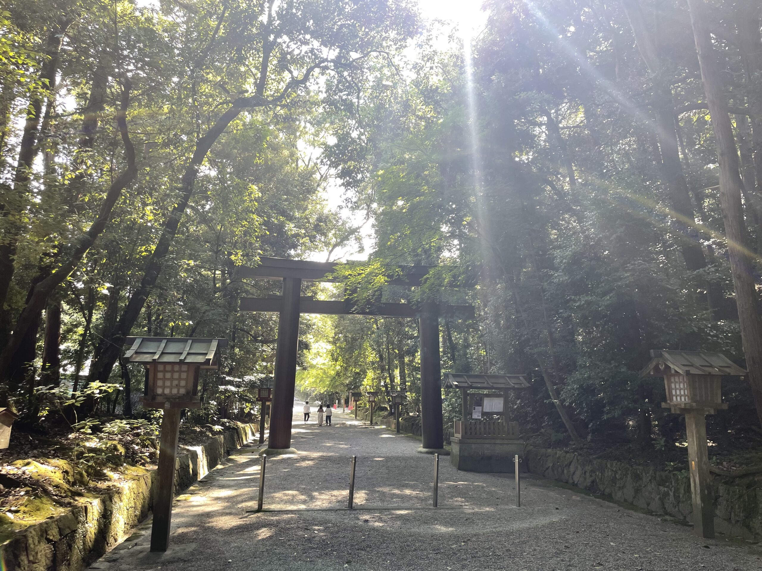 山の辺の道沿いに佇む石上神宮の参道と朝の光