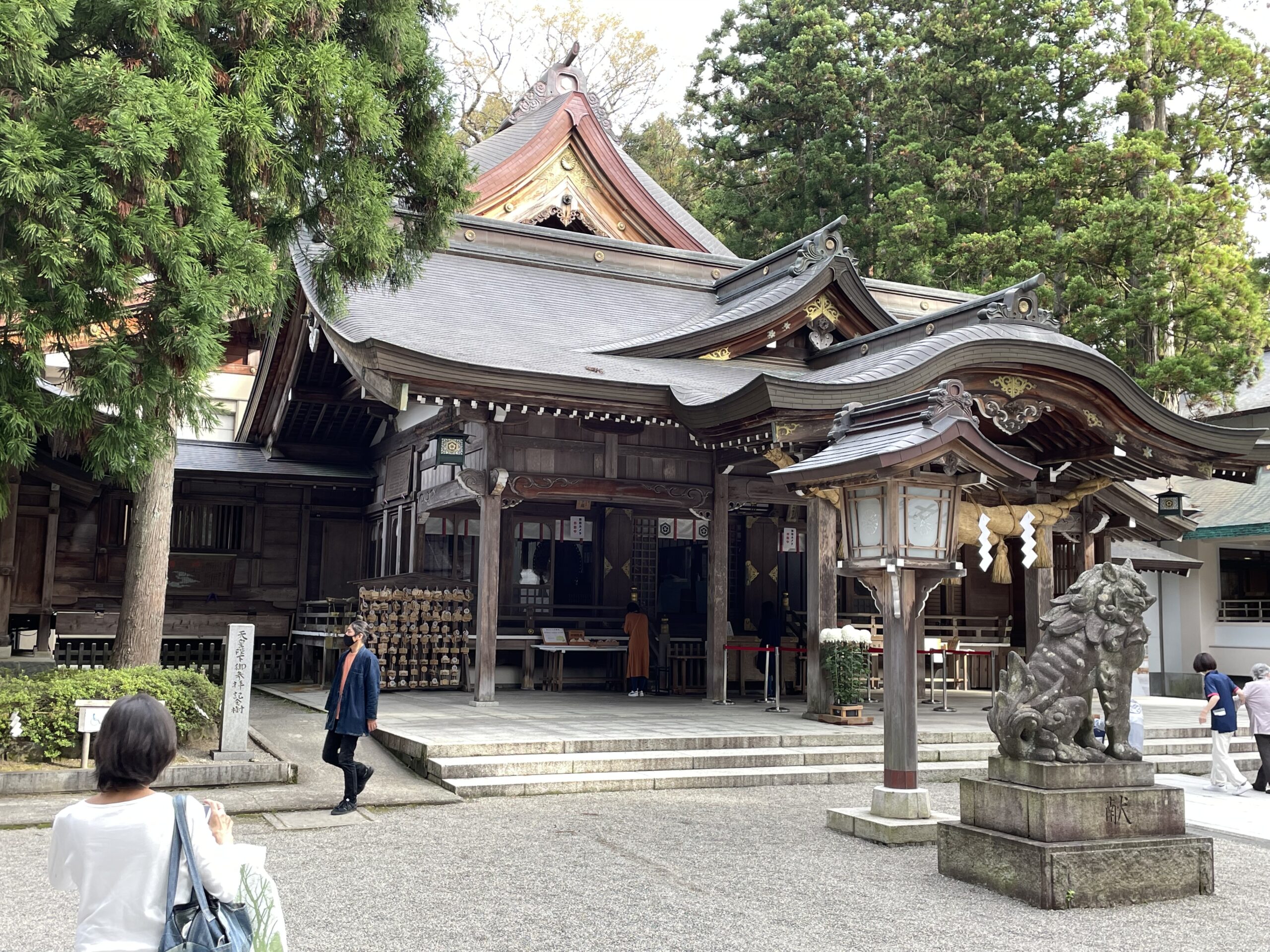杉に囲まれた白山比咩神社本殿の重厚な佇まい