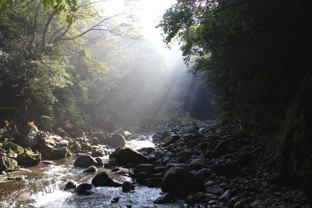 高千穂・岩戸川の渓谷風景