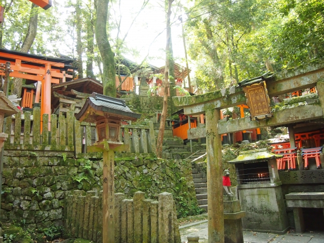 木漏れ日の下、苔むした石碑と小さな鳥居が並ぶ稲荷山のお塚