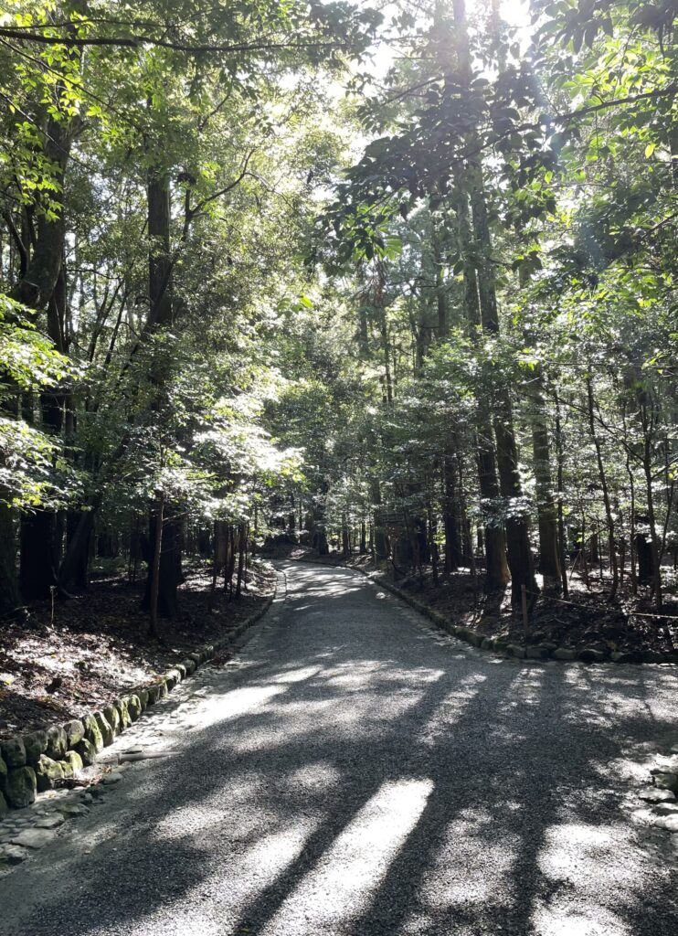 夕暮れの伊勢神宮参道、木漏れ日が差し込む静かな一場面